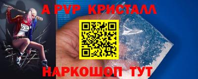 спиды Кандалакша
